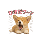 子犬verコーギー（個別スタンプ：15）