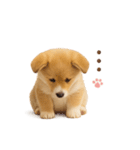 子犬verコーギー（個別スタンプ：38）