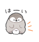 文鳥さんの夏スタンプ（個別スタンプ：1）