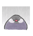 文鳥さんの夏スタンプ（個別スタンプ：12）
