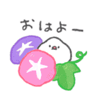 文鳥さんの夏スタンプ（個別スタンプ：13）