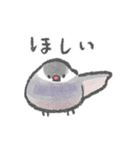 文鳥さんの夏スタンプ（個別スタンプ：22）