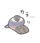 文鳥さんの夏スタンプ（個別スタンプ：36）