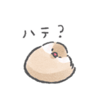 文鳥さんの夏スタンプ（個別スタンプ：37）