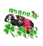 キャバリアモモちゃんとチワワのミロくん（個別スタンプ：37）