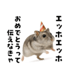 エッホエッホハムスター（個別スタンプ：2）