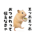 エッホエッホハムスター（個別スタンプ：4）