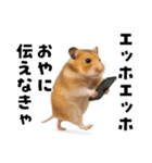 エッホエッホハムスター（個別スタンプ：13）