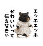 エッホエッホハムスター（個別スタンプ：17）