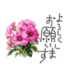 大人の挨拶♡暑い夏♡品よくおしゃれに（個別スタンプ：11）