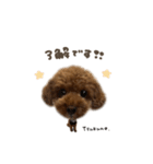 つくねくん☆deformation（個別スタンプ：1）