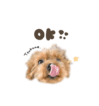 つくねくん☆deformation（個別スタンプ：3）