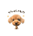 つくねくん☆deformation（個別スタンプ：10）