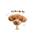 つくねくん☆deformation（個別スタンプ：11）