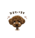 つくねくん☆deformation（個別スタンプ：13）