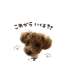 つくねくん☆deformation（個別スタンプ：16）
