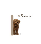 つくねくん☆deformation（個別スタンプ：21）