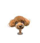 つくねくん☆deformation（個別スタンプ：23）