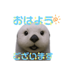 使える！らっこ♡タメ口敬語MIXあいさつ（個別スタンプ：2）