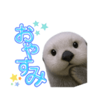使える！らっこ♡タメ口敬語MIXあいさつ（個別スタンプ：3）
