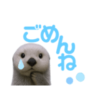 使える！らっこ♡タメ口敬語MIXあいさつ（個別スタンプ：7）