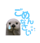 使える！らっこ♡タメ口敬語MIXあいさつ（個別スタンプ：8）