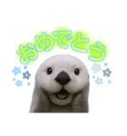 使える！らっこ♡タメ口敬語MIXあいさつ（個別スタンプ：11）