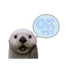 使える！らっこ♡タメ口敬語MIXあいさつ（個別スタンプ：16）