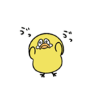 動く！いけぴよスタンプ（個別スタンプ：9）