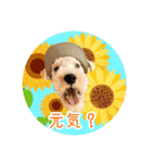 レイキー＆ウェルシュの夏の思い出love（個別スタンプ：1）