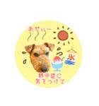 レイキー＆ウェルシュの夏の思い出love（個別スタンプ：7）