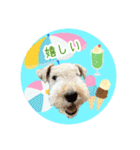 レイキー＆ウェルシュの夏の思い出love（個別スタンプ：9）