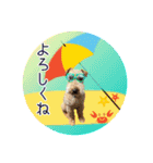 レイキー＆ウェルシュの夏の思い出love（個別スタンプ：10）