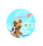 レイキー＆ウェルシュの夏の思い出love（個別スタンプ：13）