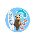 レイキー＆ウェルシュの夏の思い出love（個別スタンプ：14）