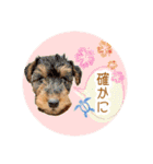 レイキー＆ウェルシュの夏の思い出love（個別スタンプ：22）