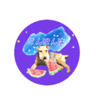 レイキー＆ウェルシュの夏の思い出love（個別スタンプ：23）