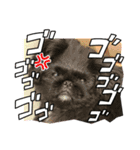 たび助2（個別スタンプ：2）