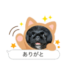 たび助2（個別スタンプ：23）
