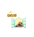幸せマルプー（個別スタンプ：1）