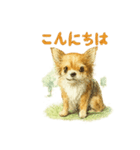 チワワ、chiwawa 3（個別スタンプ：1）