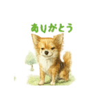 チワワ、chiwawa 3（個別スタンプ：2）