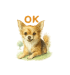 チワワ、chiwawa 3（個別スタンプ：4）