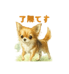 チワワ、chiwawa 3（個別スタンプ：7）