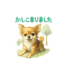 チワワ、chiwawa 3（個別スタンプ：9）