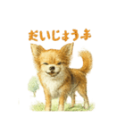 チワワ、chiwawa 3（個別スタンプ：13）