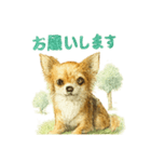 チワワ、chiwawa 3（個別スタンプ：15）