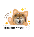 ROROMI Commitment（個別スタンプ：1）