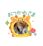 ROROMI Commitment（個別スタンプ：3）