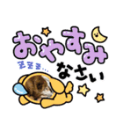 ROROMI Commitment（個別スタンプ：5）